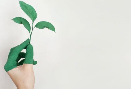 Personal Growth - Person's Left Hand Holding Green Leaf Plant